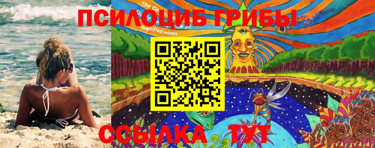 Ялта  Псилоцибиновые грибы GOLDEN TEACHER  Вход с VPN 